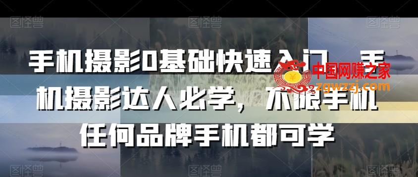 手机摄影0基础快速入门，手机摄影达人必学，不限手机任何品牌手机都可学