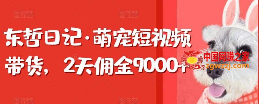 东哲日记·萌宠短视频带货，2天佣金9000+,东哲日记·萌宠短视频带货，2天佣金9000+,带货,宠物,第1张