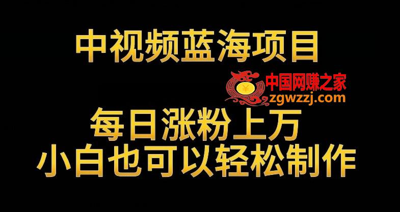 中视频蓝海项目，解读英雄人物生平，每日涨粉上万，小白也可以轻松制作，月入过万不是梦【揭秘】,中视频蓝海项目，解读英雄人物生平，每日涨粉上万，小白也可以轻松制作，月入过万不是梦【揭秘】,视频,小白,轻松,第1张