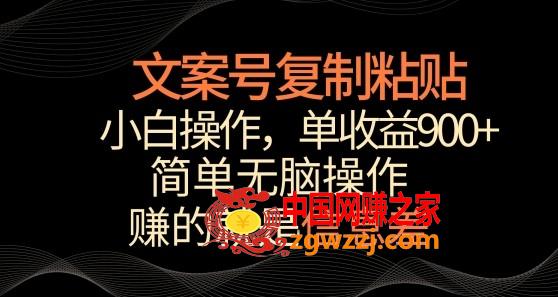 文案号掘金，简单**粘贴，小白操作，单作品收益900+【揭秘】,文案号掘金，简单**粘贴，小白操作，单作品收益900+【揭秘】,平台,项目,文案,第1张