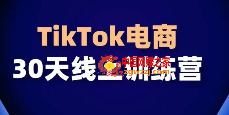 TikTok电商带货30天线上课，不可错过的全球流量洼地！