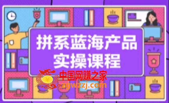 拼系冷门蓝海产品实操课程，从注册店铺到选品上架到流量维护环环相扣,拼系冷门蓝海产品实操课程，从注册店铺到选品上架到流量维护环环相扣,可以,如何,基础,第1张