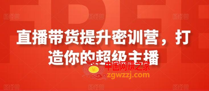 直播带货提升密训营，打造你的超级主播,直播带货提升密训营，打造你的超级主播,.mp4,老师,第1张