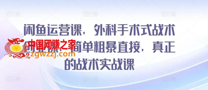 闲鱼运营课，外科手术式战术创业课，简单粗暴直接，真正的战术实战课,闲鱼运营课，外科手术式战术创业课，简单粗暴直接，真正的战术实战课,闲鱼,实战,怎么,第1张