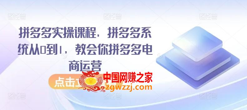 拼多多实操课程，拼多多系统从0到1，教会你拼多多电商运营,拼多多实操课程，拼多多系统从0到1，教会你拼多多电商运营,详解,店铺,商品,第1张