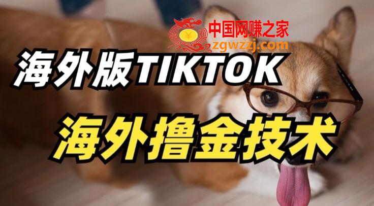 抖音海外版tiktok撸金技术，这个风口行业，赚钱真的不难【揭秘】