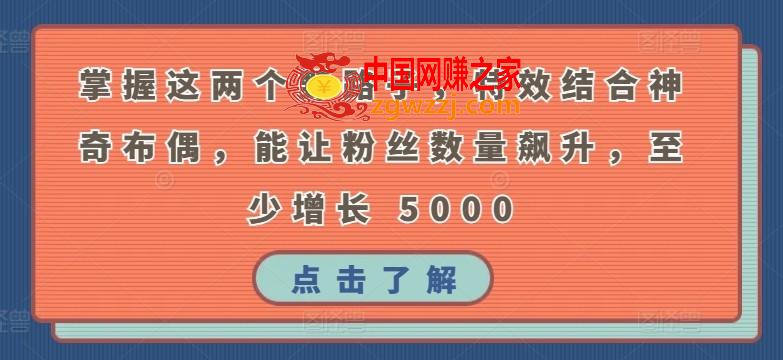 掌握这两个野路子，特效结合神奇布偶，能让粉丝数量飙升，至少增长 5000【揭秘】