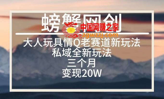 大人玩具情Q用品赛道私域全新玩法，三个月变现20W，老项目新思路【揭秘】