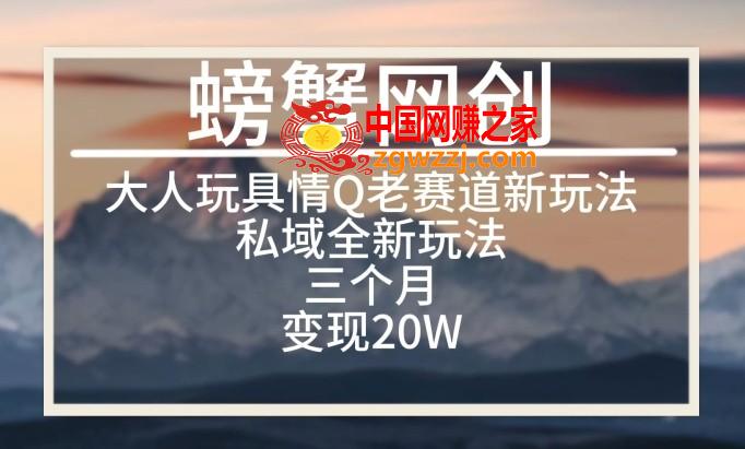 大人玩具情Q用品赛道私域全新玩法，三个月变现20W，老项目新思路【揭秘】,大人玩具情Q用品赛道私域全新玩法，三个月变现20W，老项目新思路【揭秘】,流量,项目,这个,第1张