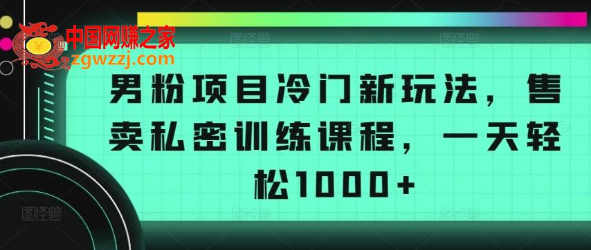 男粉项目冷门新玩法，售卖私密训练课程，一天轻松1000+【揭秘】