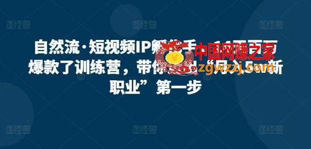 自然流·短视频IP孵化手，14天百万爆款了训练营，带你迈出“月入5w新职业”第一步,自然流·短视频IP孵化手，14天百万爆款了训练营，带你迈出“月入5w新职业”第一步,分享,IP,第1张