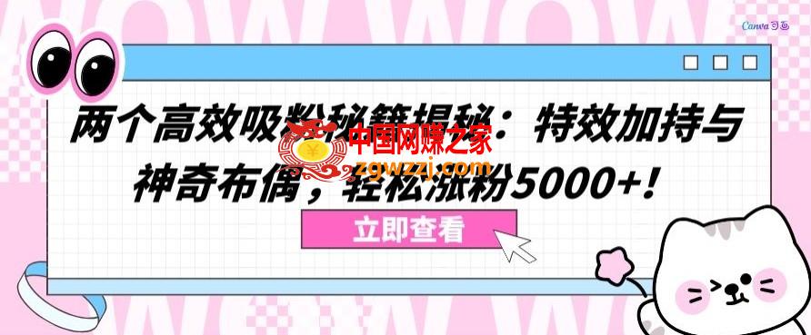 两个高效吸粉秘籍揭秘：特效加持与神奇布偶，轻松涨粉5000+【揭秘】