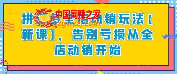 拼多多全店动销玩法【新课】，告别亏损从全店动销开始