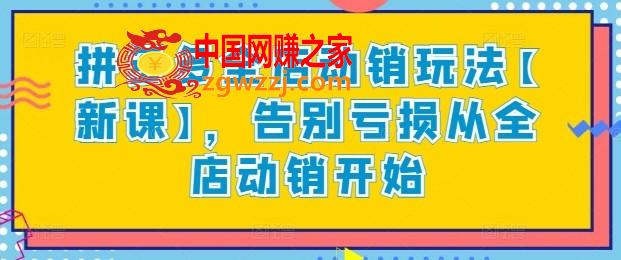 拼多多全店动销玩法【新课】，告别亏损从全店动销开始,拼多多全店动销玩法【新课】，告别亏损从全店动销开始,下载,第1张