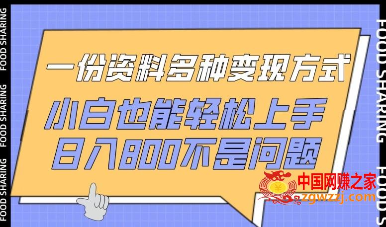 一份资料多种变现方式，小白也能轻松上手，日入800不是问题【揭秘】