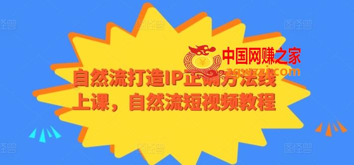 自然流打造IP正确方法线上课，自然流短视频教程