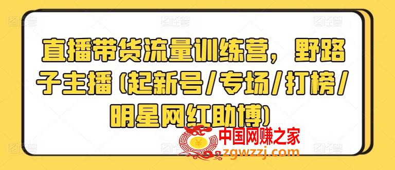 直播带货流量训练营，野路子主播(起新号/专场/打榜/明星网红助博)