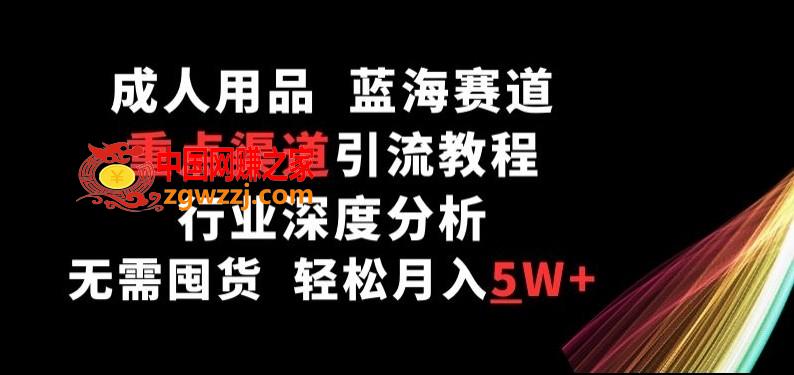 成人用品，蓝海赛道，重点渠道引流教程，行业深度分析，无需囤货，轻松月入5W+【揭秘】