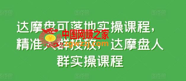 达摩盘可落地实操课程，精准人群投放，达摩盘人群实操课程,达摩盘可落地实操课程，精准人群投放，达摩盘人群实操课程,人群,应用,第1张