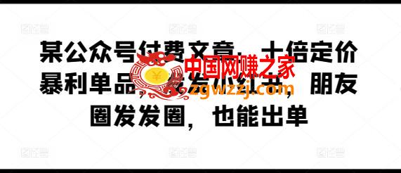 某公众号付费文章：十倍定价暴利单品，发发小红书，朋友圈发发圈，也能出单