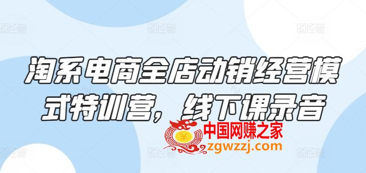 淘系电商全店动销经营模式特训营，线下课录音