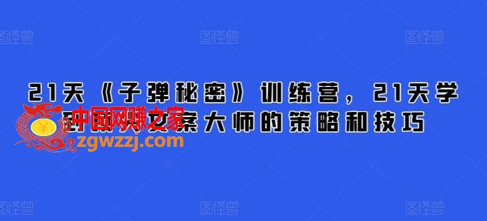 21天《子弹秘密》训练营，21天学到**文案大师的策略和技巧