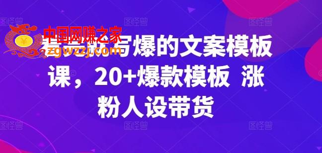 看完就写爆的文案模板课，20+爆款模板  涨粉人设带货