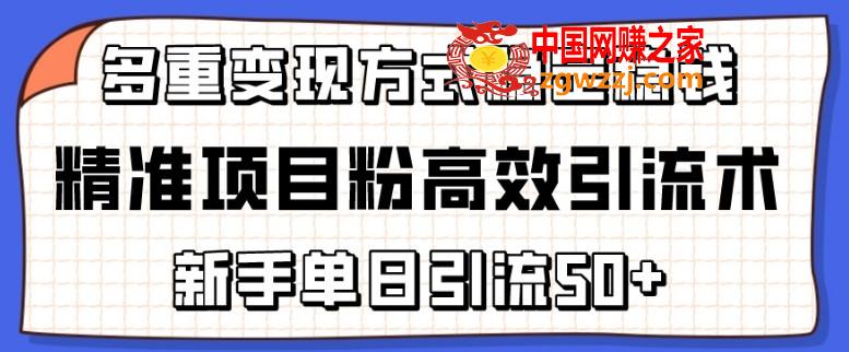 精准项目粉高效引流术，新手单日引流50+，多重变现方式稳定赚钱【揭秘】