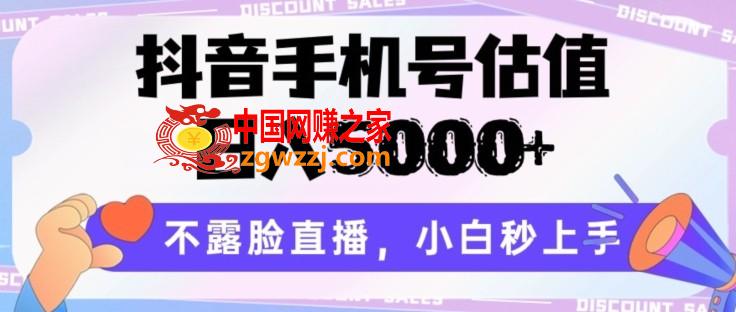 抖音手机号估值，日入5000+，不露脸直播，小白秒上手【揭秘】