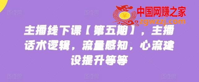 主播线下课【第五期】，主播话术逻辑，流量感知，心流建设提升等等