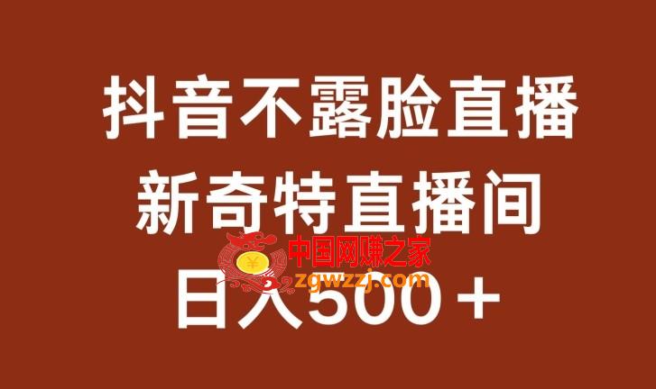 不露脸挂机直播，新奇特直播间，日入500+【揭秘】,不露脸挂机直播，新奇特直播间，日入500+【揭秘】,直播,项目,下载,第1张