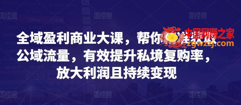 全域盈利商业大课，帮你精准获取公域流量，有效提升私境复购率，放大利润且持续变现