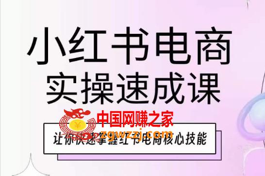 小红书电商实操速成课，让你快速掌握红书电商核心技能,小红书电商实操速成课，让你快速掌握红书电商核心技能,笔记,视频,小红,第1张