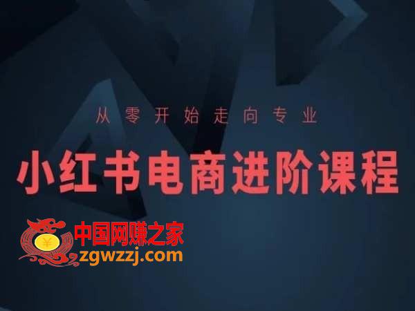 从零开始走向专业，小红书电商进阶课程