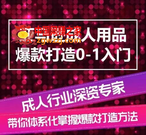 亚马逊成人用品爆款打造0-1入门，系统化讲解亚马逊成人用品爆款打造的流程