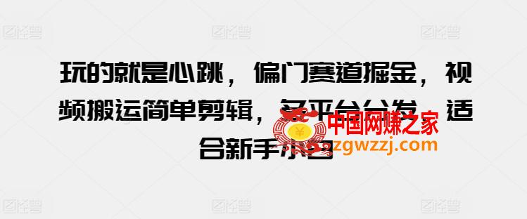 玩的就是心跳，偏门赛道掘金，视频搬运简单剪辑，多平台分发，适合新手小白【揭秘】