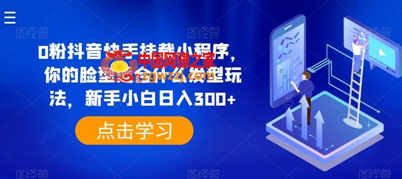 0粉抖音快手挂载小程序，你的脸型适合什么发型玩法，新手小白日入300+【揭秘】
