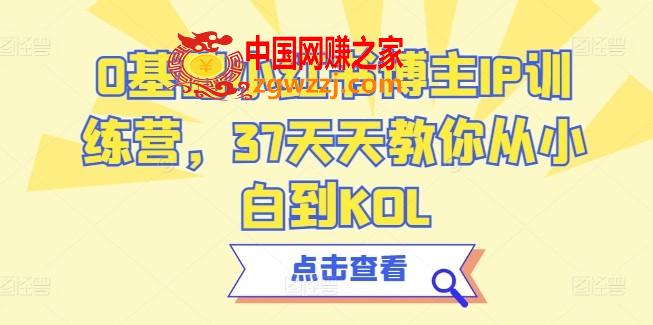 0基础小红书博主IP训练营，37天天教你从小白到KOL
