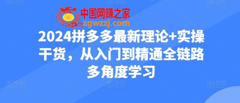 2024拼多多最新理论+实操干货，从入门到精通全链路多角度学习