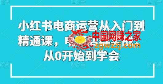 小红书电商运营从入门到精通课，电商店群实战，从0开始到学会