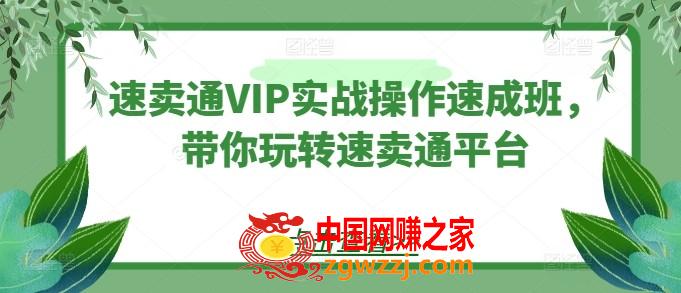 速卖通VIP实战操作速成班，带你玩转速卖通平台