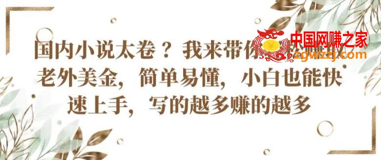 国内小说太卷 ?带你轻松赚取老外美金，简单易懂，小白也能快速上手，写的越多赚的越多【揭秘】