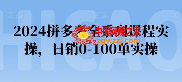 2024拼多多全系列课程实操，日销0-100单实操【必看】