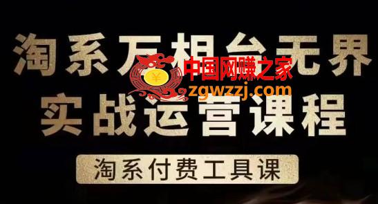 淘系万相台**实战运营课，淘系付费工具课