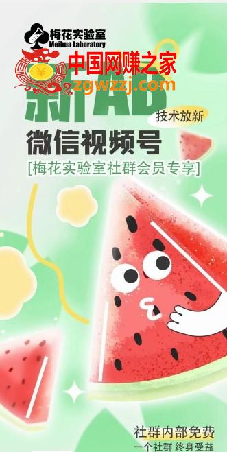 梅花实验室2024年AB技术视频号AB合成破解版