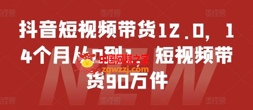 抖音短视频带货12.0，14个月从0到1，短视频带货90万件