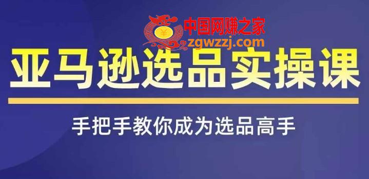 亚马逊选品实操课程，快速掌握亚马逊选品的技巧，覆盖亚马逊选品所有渠道