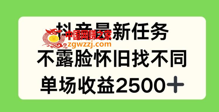 抖音最新任务，不露脸怀旧找不同，单场收益2.5k【揭秘】