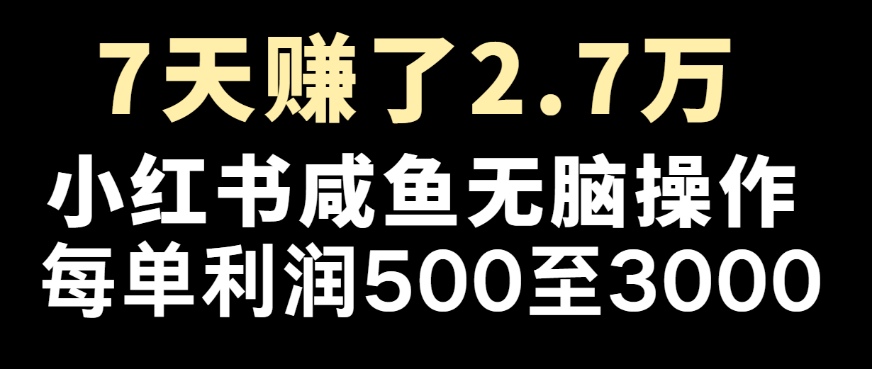 图片[1]-七天赚了2.7万！每单利润最少500+，轻松月入5万+小白有手就行-中创网_分享中创网创业资讯_最新网络项目资源
