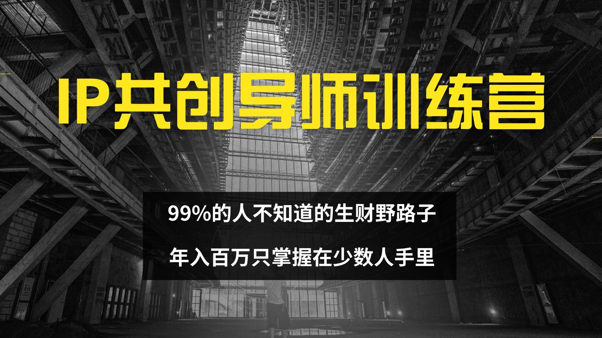 （12504期）IP共创**训练营 99%的人不知道的生财野路子 只掌握在少数人手里